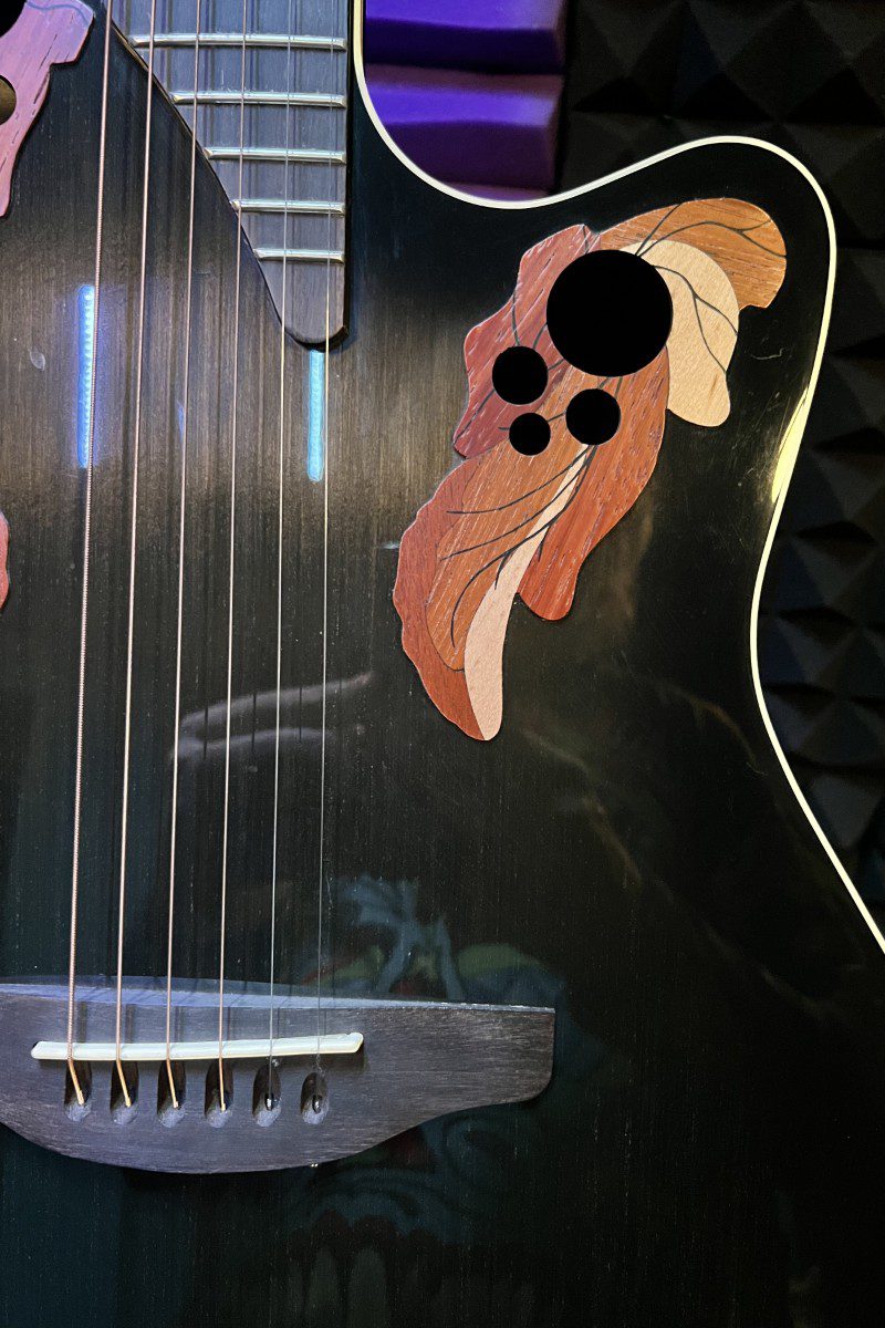 Acoustic guitar with decorative leaf design.