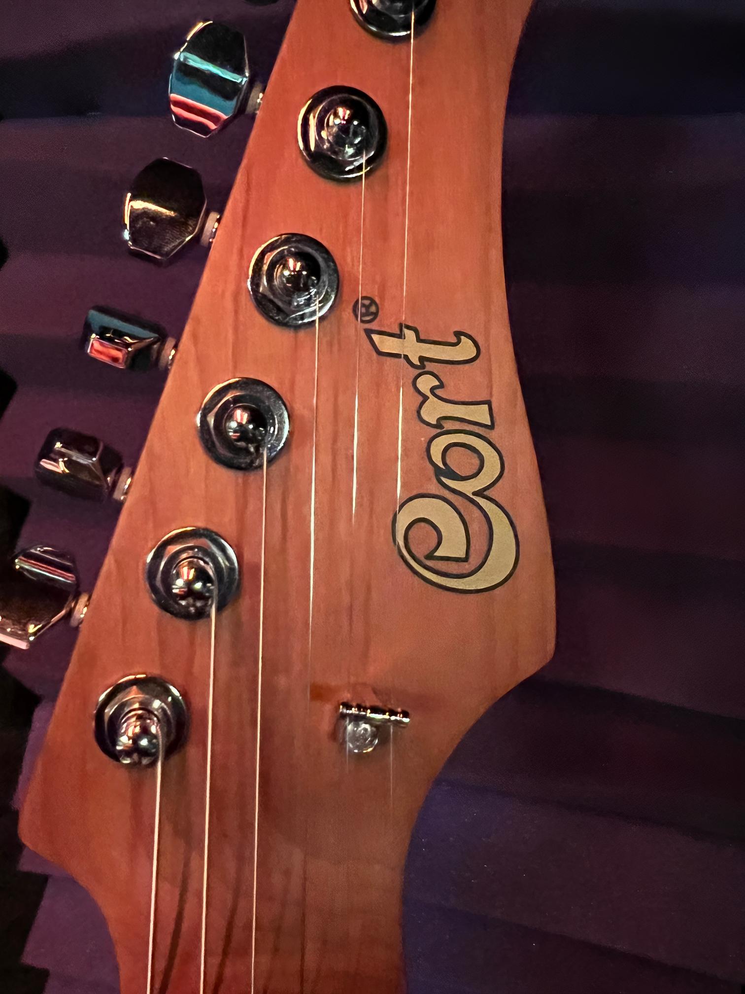 Guitar headstock with tuning pegs and logo.